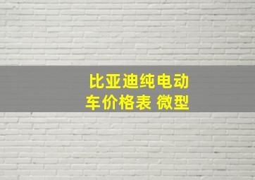 比亚迪纯电动车价格表 微型